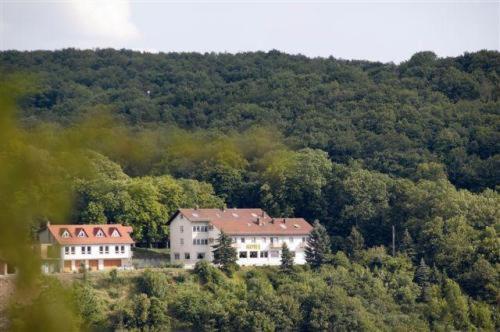 Burg-Hotel Obermoschel Exterior foto