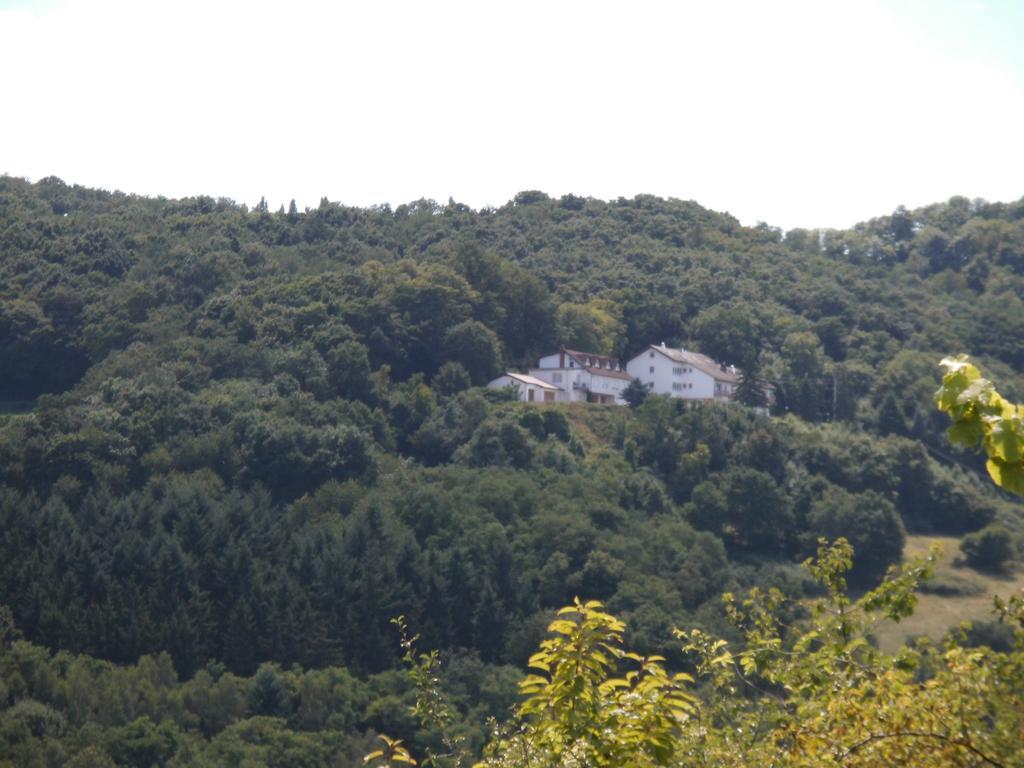 Burg-Hotel Obermoschel Exterior foto